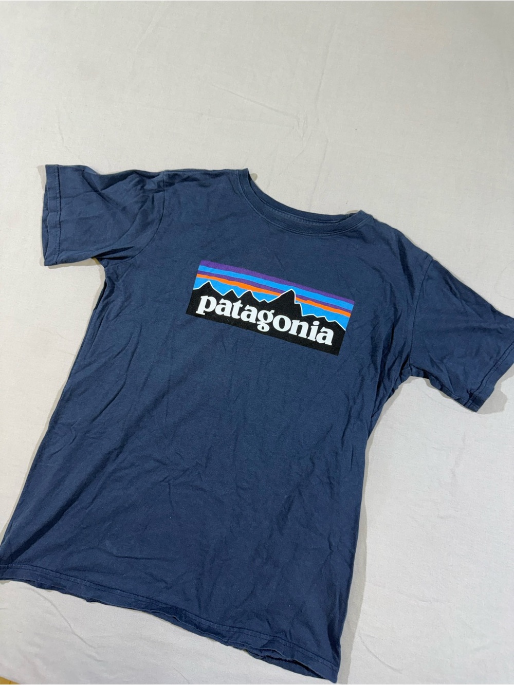 Patagonia Classic Logo T-Shirt